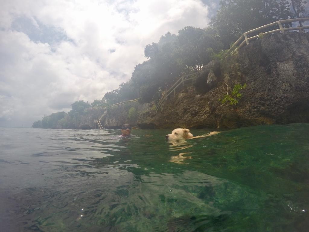 Alexis Cliff Dive Resort Panglao Exterior photo