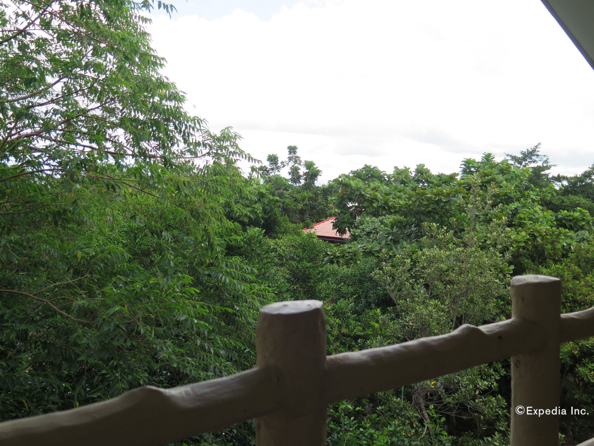 Alexis Cliff Dive Resort Panglao Exterior photo